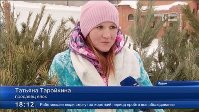 В Ишиме 24 декабря прошла предновогодняя ярмарка смотреть онлайн