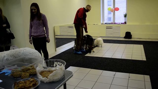 Вечеринка в хендлинг зале смотреть онлайн