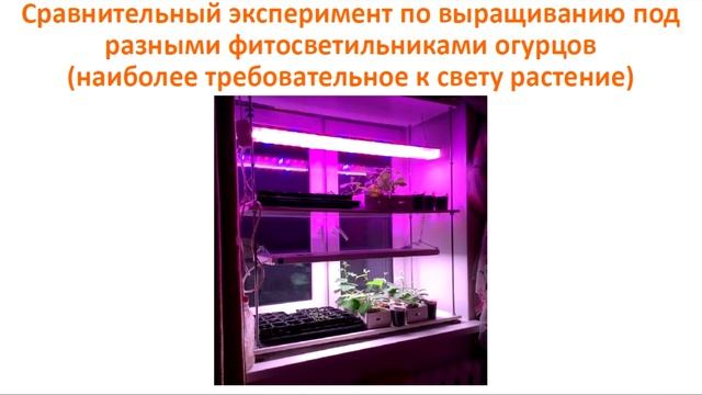 Фитосветильники Люмика Квартет Инструкция по применению смотреть онлайн