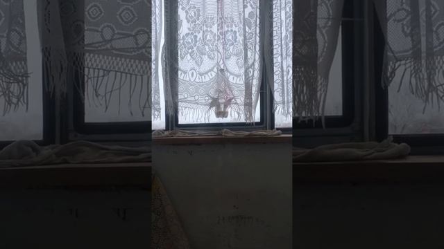 Воробьи едят как свиньи смотреть онлайн