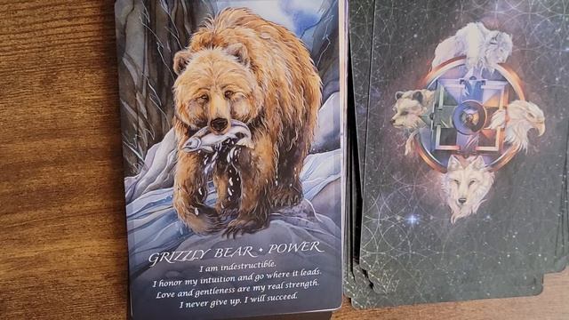Spirit of the Animals Oracle by Jody Bergsma UNBOXING смотреть онлайн