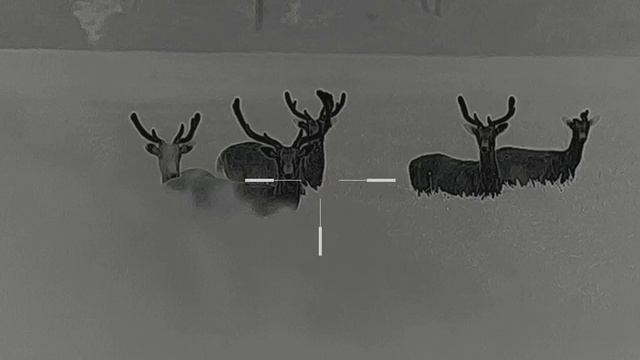 ThermTec Ares 660 смотреть онлайн