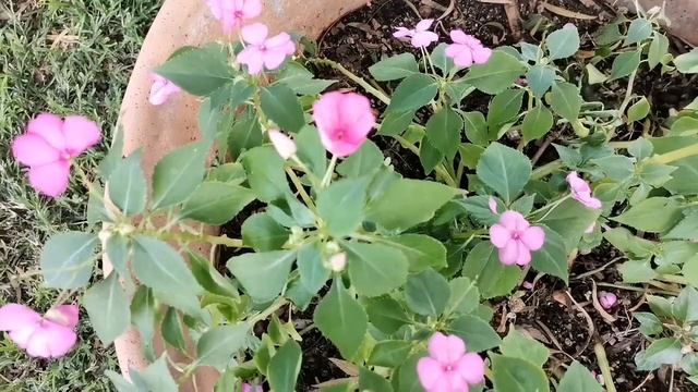 Francistown Accommodation (Botswana) смотреть онлайн