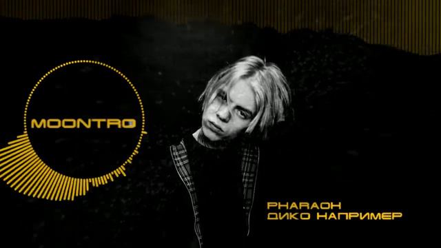 PHARAOH - Дико например (moontro remix) смотреть онлайн