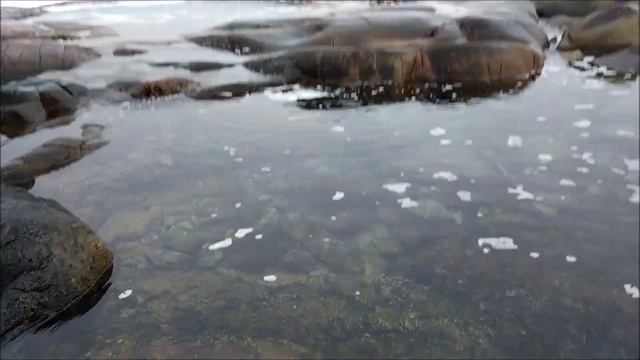 Производственные помещения предприятий общественного питания. (Билет 6). смотреть онлайн