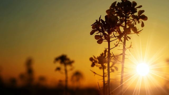 Как не терять внутреннее пространство во время общения