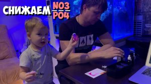 Снижение нитрата и фосфата в аквариуме