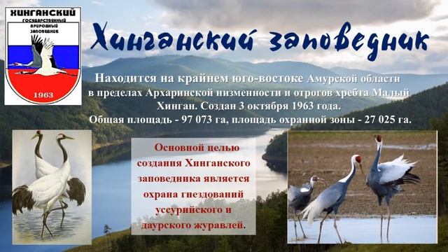 Путешествие по заповедникам Амурской области смотреть онлайн