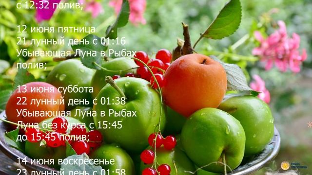 Лунный календарь садовода на июнь 2020 смотреть онлайн