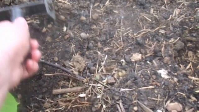Мульчирование и выращивание огурцов в теплице и в открытом грунте. смотреть онлайн