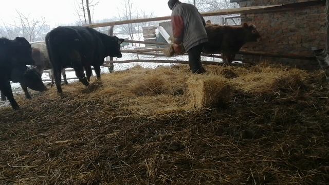 Стройка Сборник