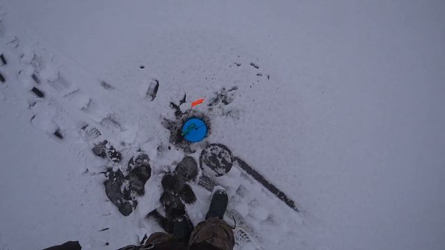 Вот Это Рыбалка! Леска трещит от Щуки | Ловля щуки на жерлицы 18+ смотреть онлайн