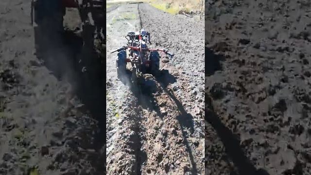Когда правильно настроен плуг в мотоблоке смотреть онлайн