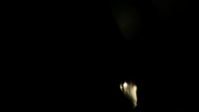 Ещё есть канал А ну-ка давай-ка я очень люблю и смотрю А туда планирую пранки снимать на животными смотреть онлайн