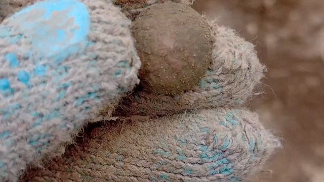 ПО СЛЕДАМ КАМРАДОВ!!!!#metaldetector#клад#металлоискатель#камрад#монета#шурф# смотреть онлайн