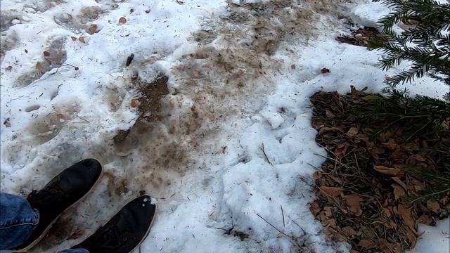 Лаго-Наки🏔️Потерялись в лесу😯Где кататься🏂 смотреть онлайн