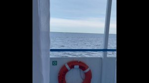 Круиз на теплоходе А.С. Пушкин Санкт-Петербург- Москва с 20.07.2024 по 26.07.2024