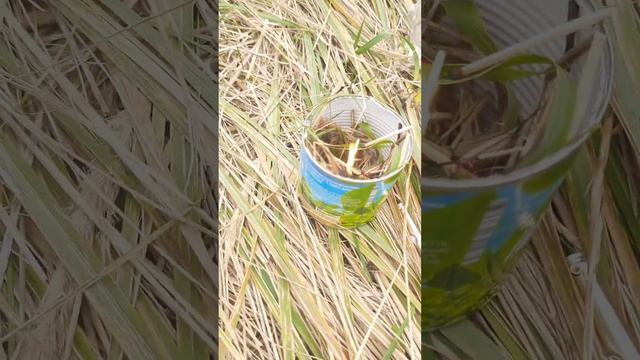 Как создать самодельную печку из под банки.Гайд для полевых условий и походов. смотреть онлайн