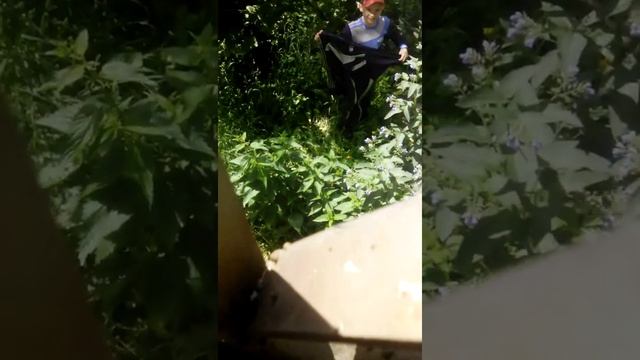 Болтаем с другом который будет сниматься в ералаше смотреть онлайн