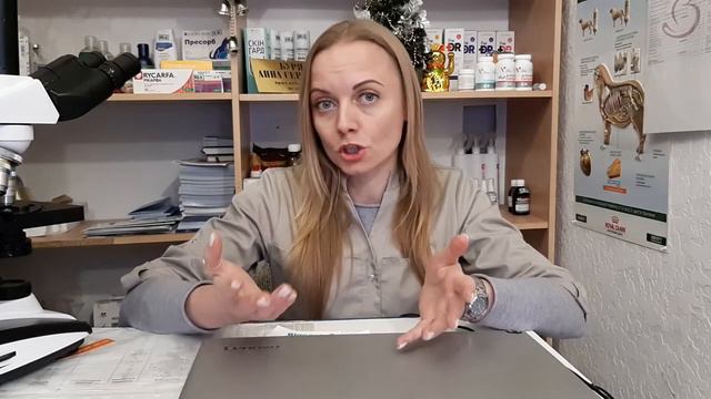 ВСЁ О КОШКАХ