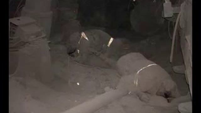 СЛАБОНЕРВНЫМ НЕ СМОТРЕТЬ!!! смотреть онлайн