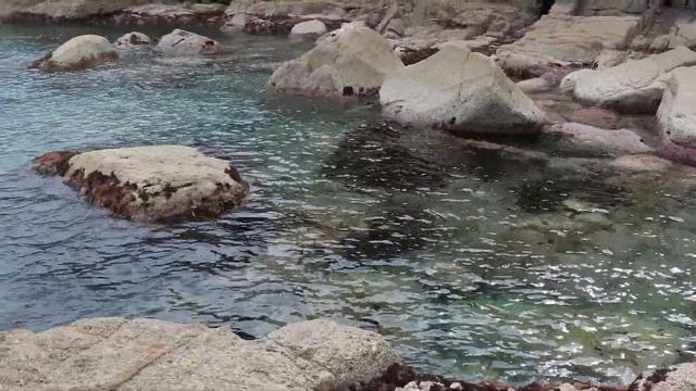 ... мыс Баратынского... смотреть онлайн