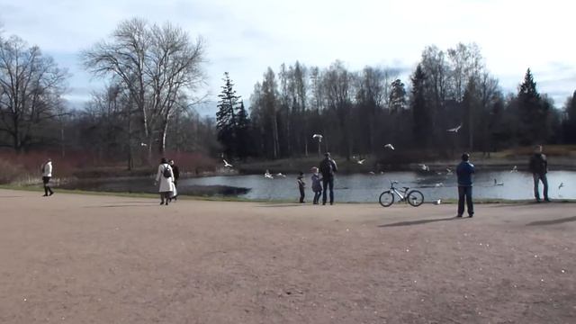 №10 Поездка в Питер. Ораниенбаум (Ломоносов) смотреть онлайн