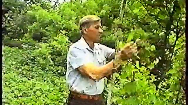 Вони починали Ансамбль ''Ретро'' 1995 рік смотреть онлайн