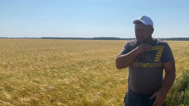 Гуминатрин Ризоторфин🌾 Сокращение стартовых доз азотных удобрений. смотреть онлайн