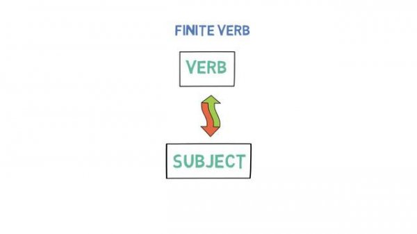 Verbs | Finite Verbs vs Non-Finite Verbs | Differences | When to use?