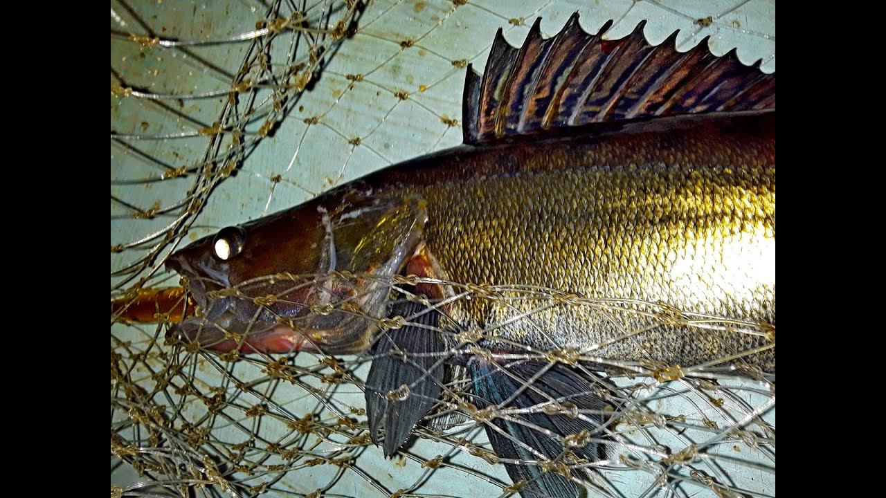 Троллинговые копии Страйк, Райден, Герман, Акара смотреть онлайн