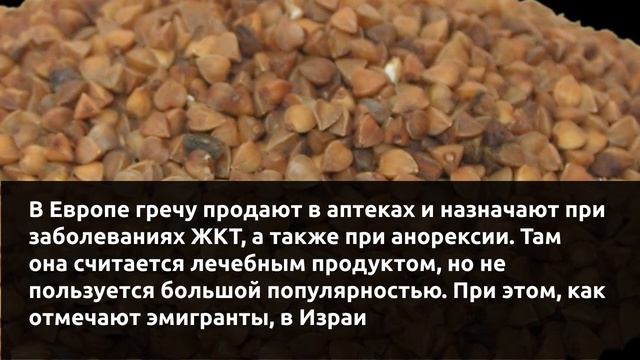 Почему Американцы не едят Гречку?