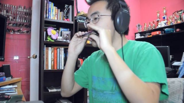 "Winter Wrap Up" Harmonica Practice (D Flat Harmonica) смотреть онлайн