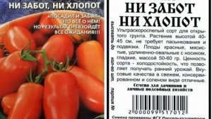 СОРТ ТОМАТА -"Ни забот, ни хлопот" - ОПИСАНИЕ СОРТА ТОМАТА -"Ни забот, ни хлопот"