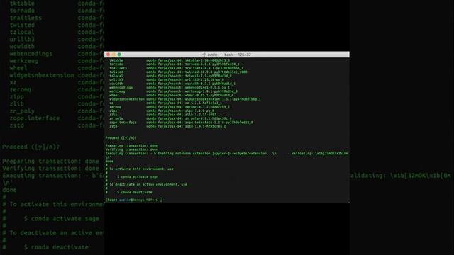 Setting up Sagemath on OSX using Miniconda смотреть онлайн