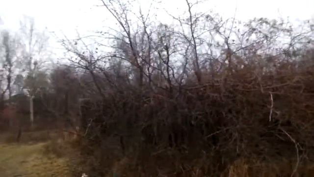 Село Сумской области  The Village Of Ukraine,  How They Live In Ukraine