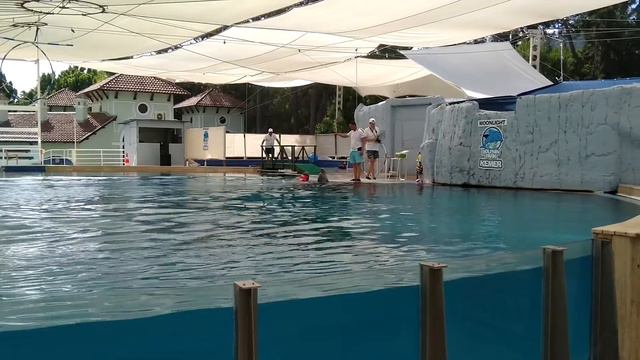 Кемер 2019 смотреть онлайн