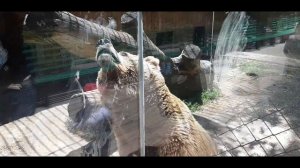 Путешествие в Алматы лето 2021 ч.2