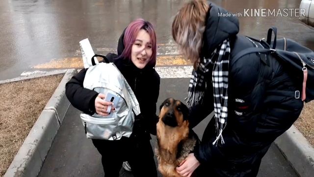 K-POP X Q-POP RANDOM DANCE (PUBLIC RUSSIA)