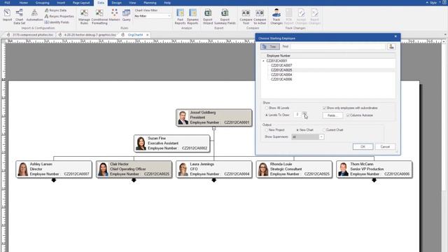 OrgChart Platinum — Query Function смотреть онлайн