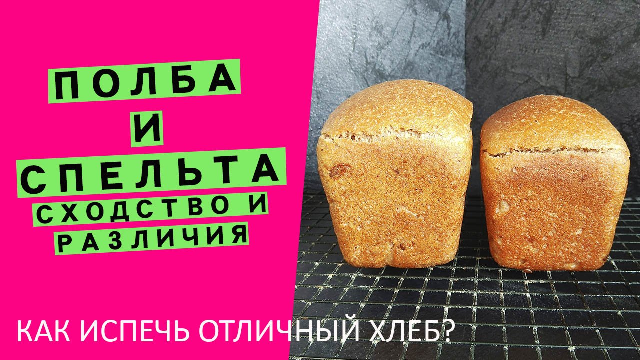Полба и Спельта: разница и сходство | Как испечь идеальный хлеб? смотреть онлайн