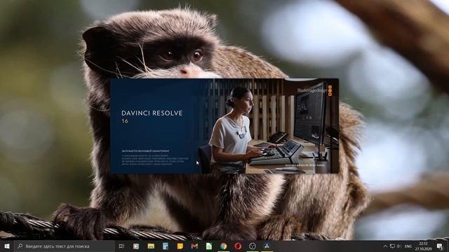 Как cделать субтитры в Davinci Resolve смотреть онлайн