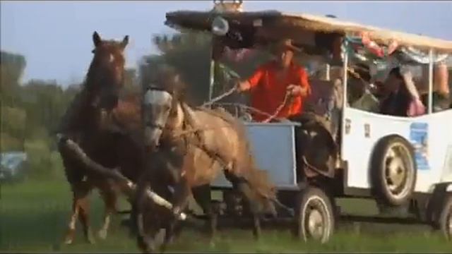 Цыгани смотреть онлайн