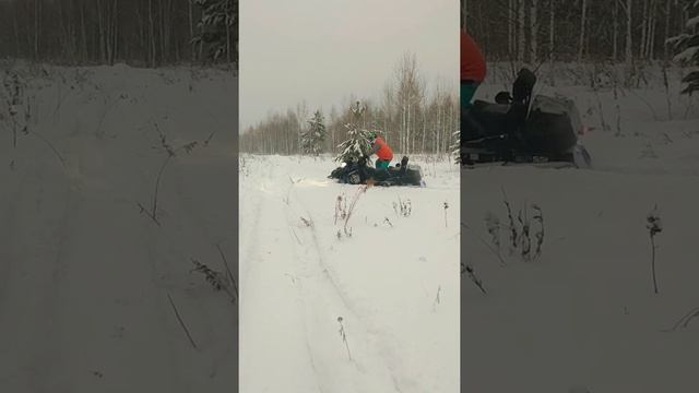 4.12.2021 рм вектор, случилось непредвиденное, муж - блондинка? смотреть онлайн