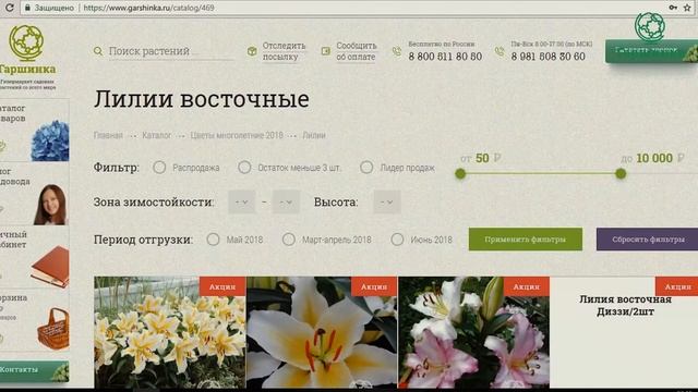 Гибриды лилий. Классификация смотреть онлайн