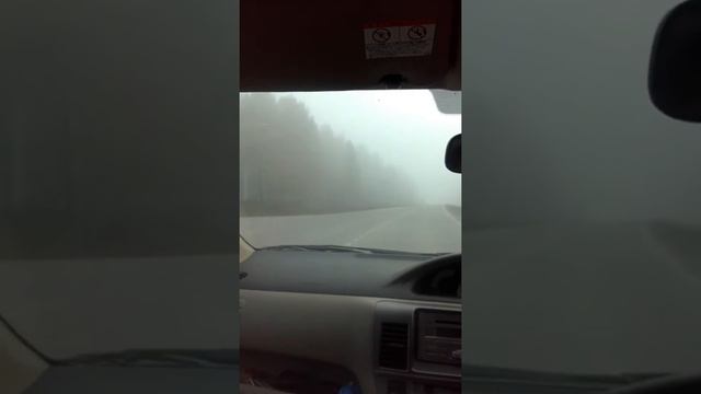 Дорога на дачу ...туман. смотреть онлайн