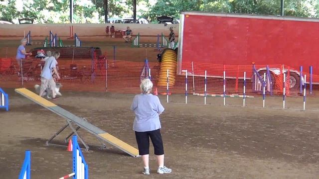 Java open standard Canine Capers Sun смотреть онлайн