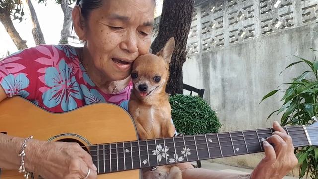 Put your head on my shoulder/.Cover by Malinda.? смотреть онлайн