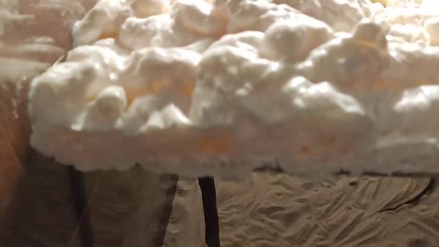 Кормление жемчужных ящериц (Timon Lepidus) смотреть онлайн