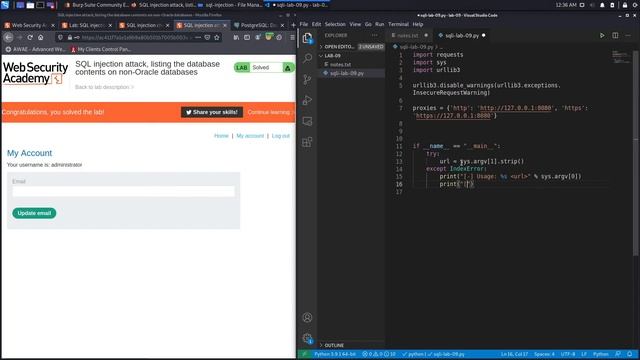 SQL Injection - Lab #9 SQL injection attack, listing the database contents on non Oracle databases смотреть онлайн